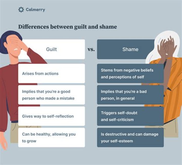 It’s a Damn Shame: Understanding the Impact of Poor Choices on Our Lives