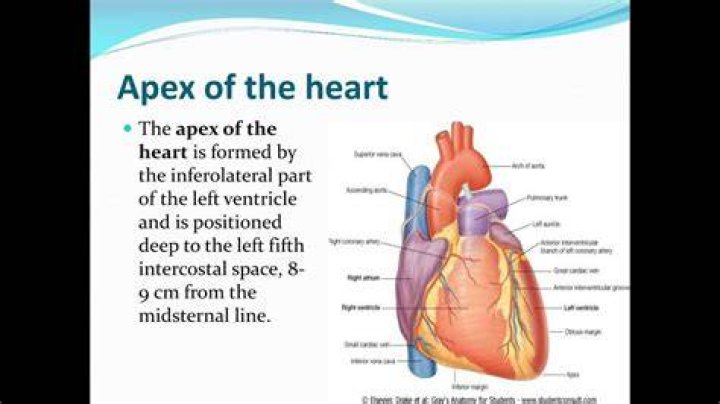 Itadoi: The Heart Isn't Real Quote - Understanding Its Meaning and Impact