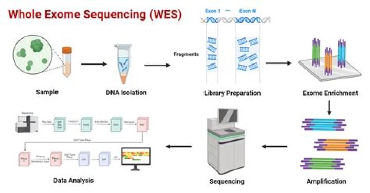 Jamesarl of Wes: An In-Depth Exploration of Legacy and Influence