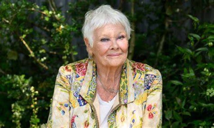 Judi Dench Net Worth: Success and Legacy of a Timeless Icon