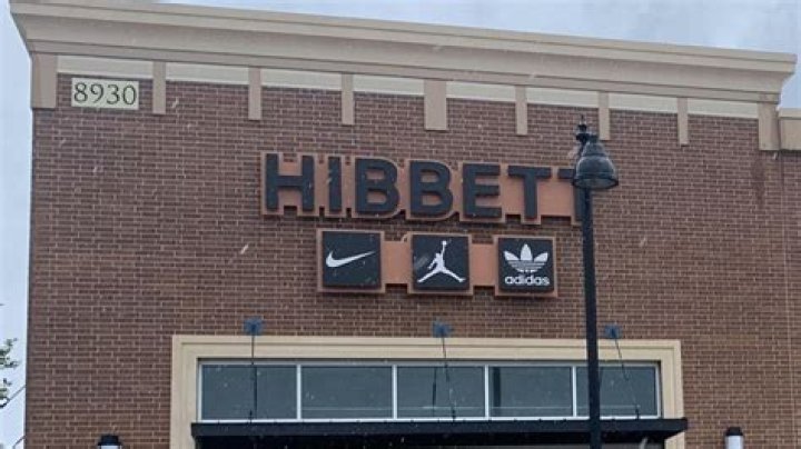 Latest News on Mike Longo, CEO of Hibbett Sports