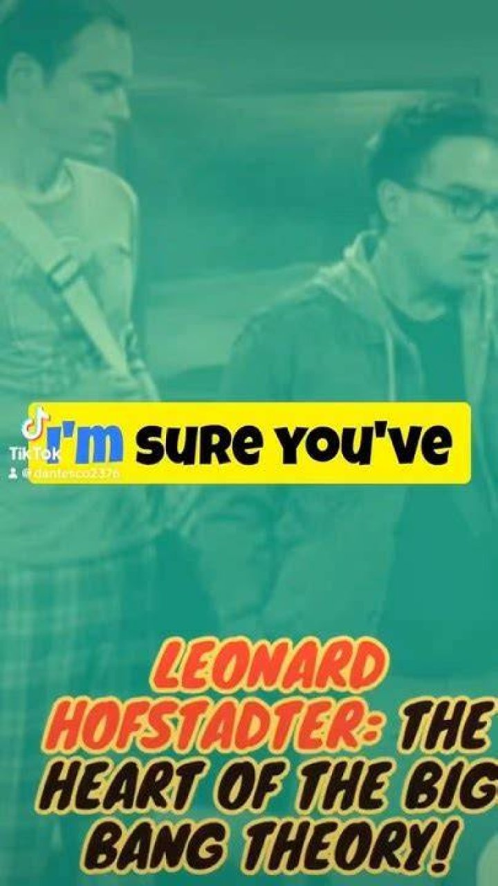 Leonard Hofstadter: The Heart of The Big Bang Theory