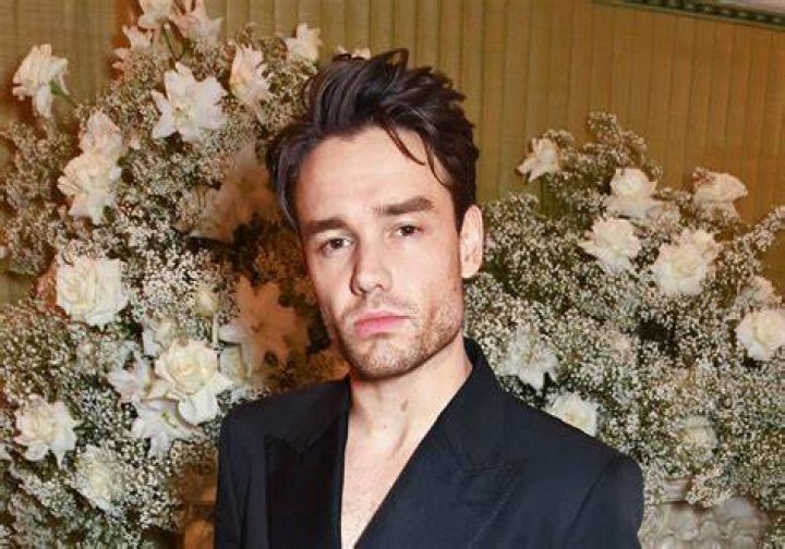 Liam Payne: The Sunshine of Modern Pop