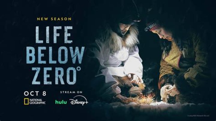 Life Below Zero: Surviving the Harsh Realities of the Arctic