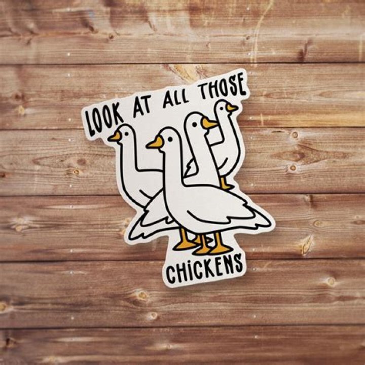 Look at All Those Chickens: A Fun Dive into the World of Our Feathered Friends