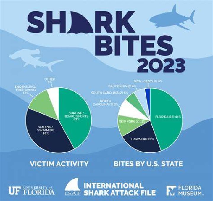 Marin County Shark Attacks: Understanding the Risks and Reality