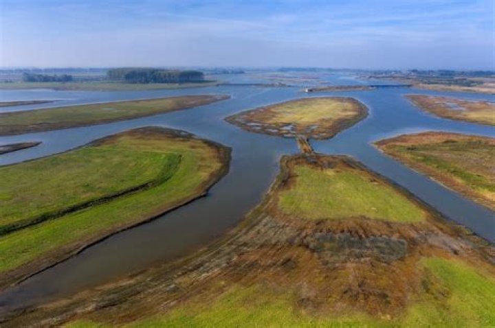 Massey Bigurtate Park: A Haven of Nature and Recreation