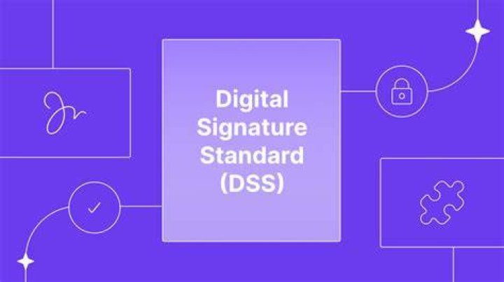 Mastering Masa49com: A Comprehensive Guide to the Digital World