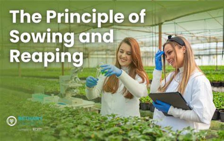 Me Sowing Me Reaping: The Principle of Reaping What You Sow