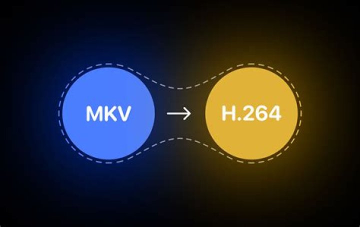 Mkv Hub: Your Ultimate Destination for High-Quality Movies and Series
