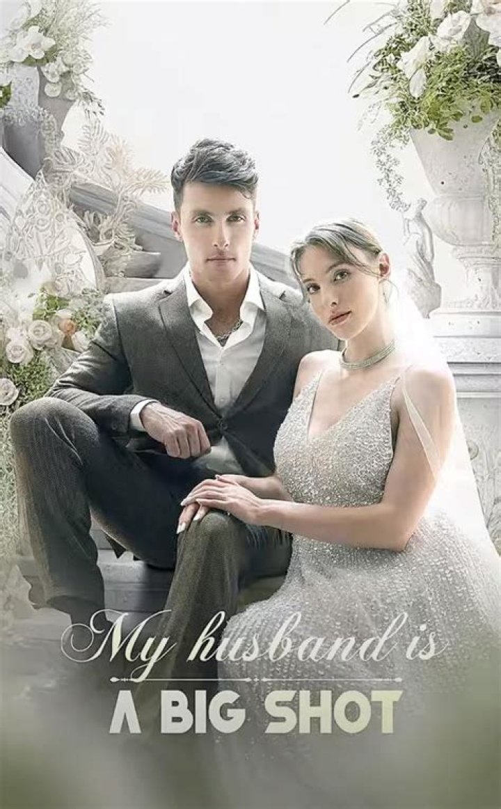 My Husband is a Bigshot Series: An In-Depth Exploration