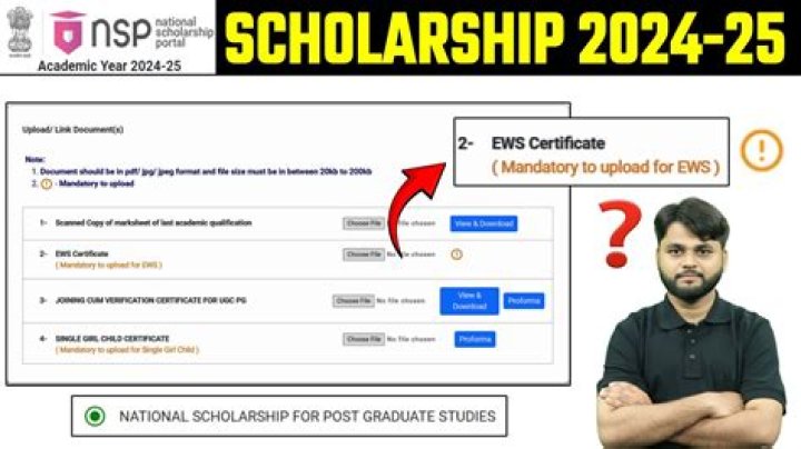 National Scholarship Form 2024: Your Complete Guide