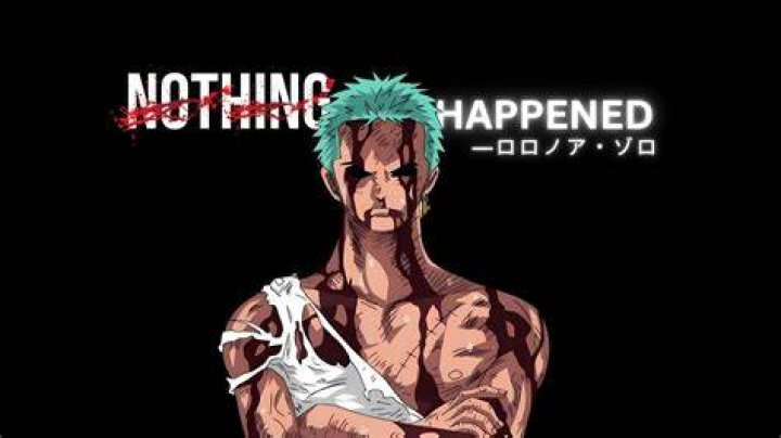 Nothing Happened Zoro: Understanding the Phenomenon and Its Impact