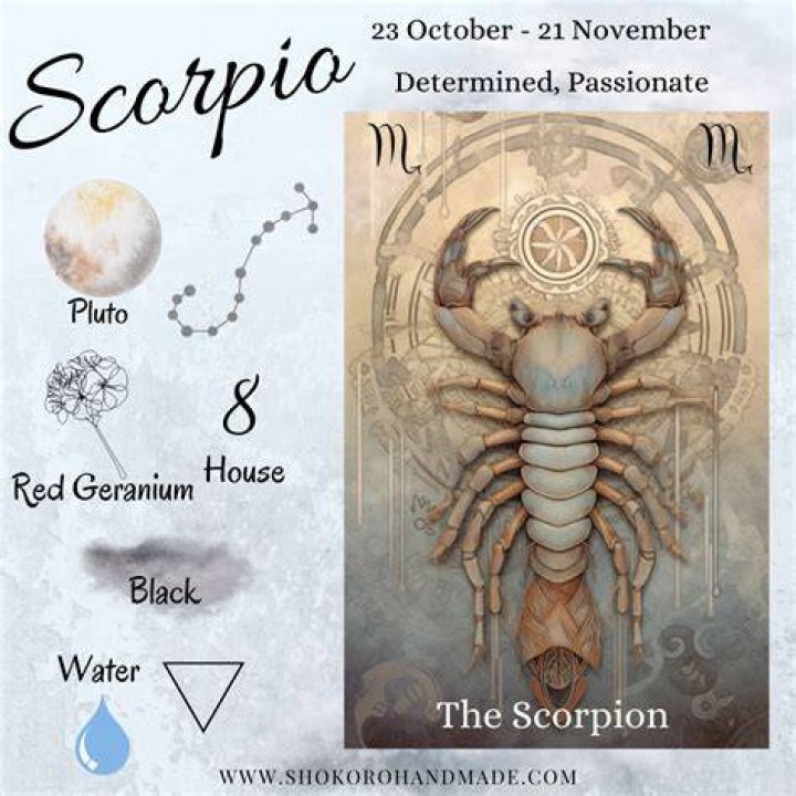 November 13 Zodiac: Exploring the Unique Traits of Scorpio