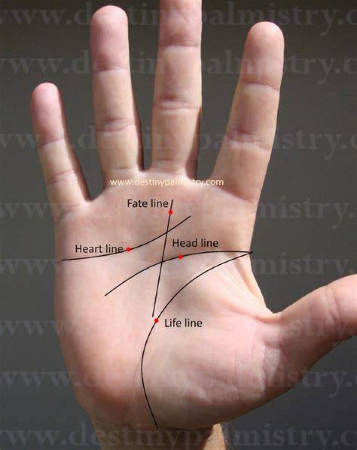 Palm Reading Near Me: Discovering the Secrets of Palmistry
