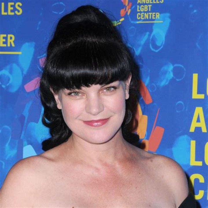 Pauley Perrette Movies and TV Shows: A Comprehensive Overview