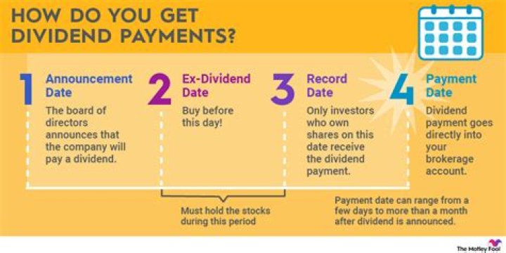 PCM Dividend History: A Detailed Look at Dividend Payments