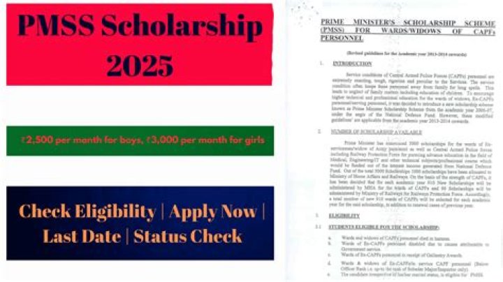 PMSS Scholarship 2024: Your Gateway to Educational Excellence