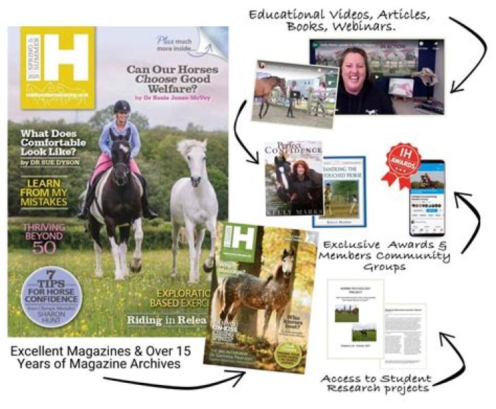 Pony Videos: The Ultimate Guide to Adorable Equine Content