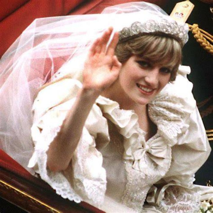 Princess Diana Gore Photo: Unveiling the Truth Behind the Controversial Images