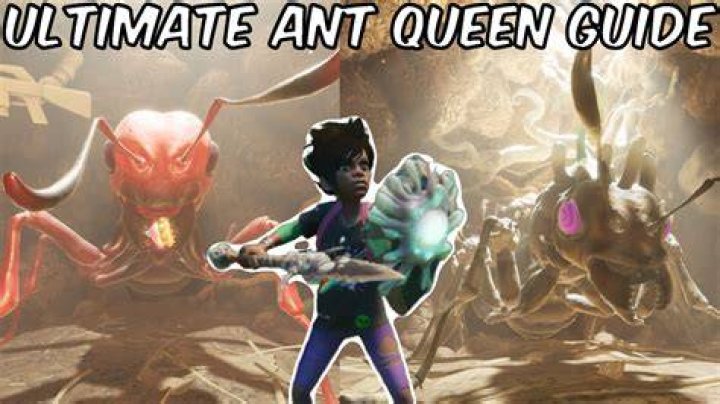 Queen Ant Offering Grounded: Understanding the Role of Queen Ants in Ant Colonies