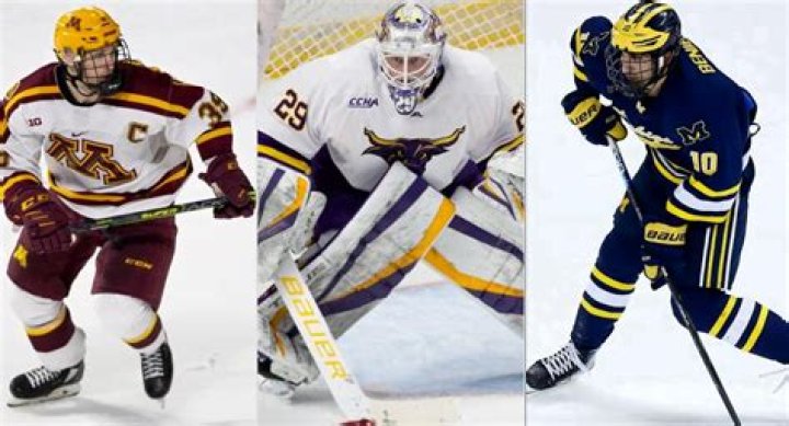 Quinnipiac Hockey: A Comprehensive Guide to the Elite College Hockey Program