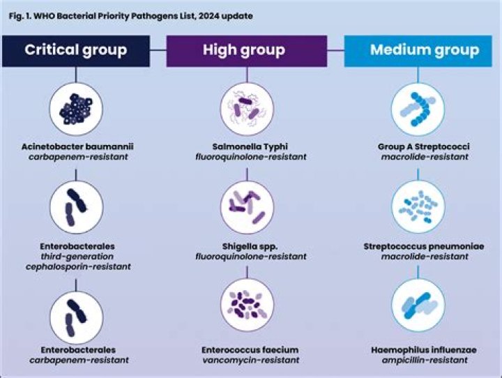 Ramen Bacteria 2024: Understanding the Impact on Health and Safety