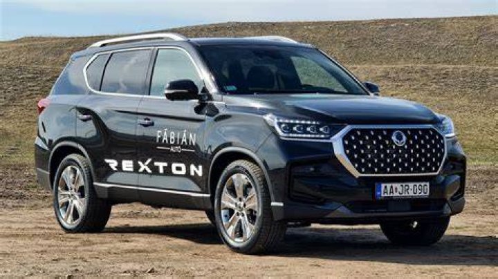 Rexton Jr Ranks: Unveiling the Rising Star