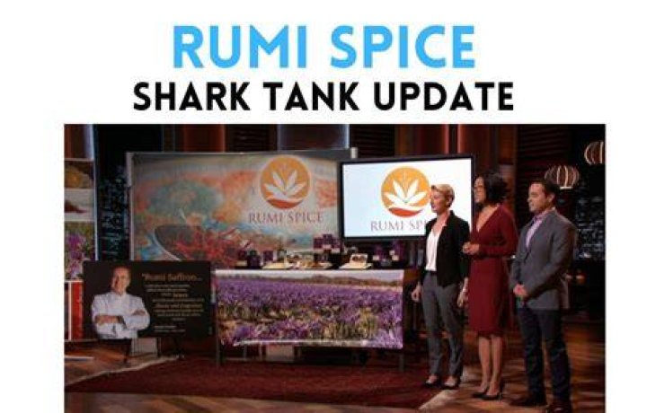 Rumi Spice Net Worth: Unveiling the Success Behind the Brand