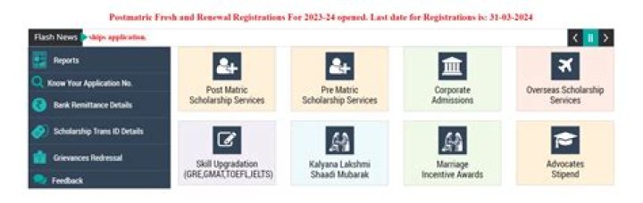 Scholarship Status Check: How to Monitor Your Scholarship Application Progress