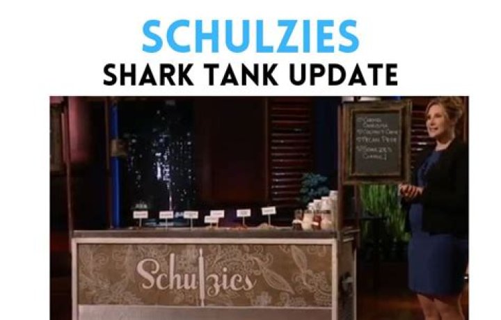 Schulzies Shark Tank: The Journey of a Unique Dessert Venture