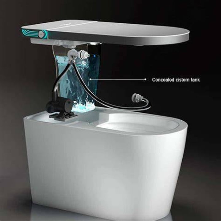 Self-Cleaning Toilet System: The Ultimate Convenience