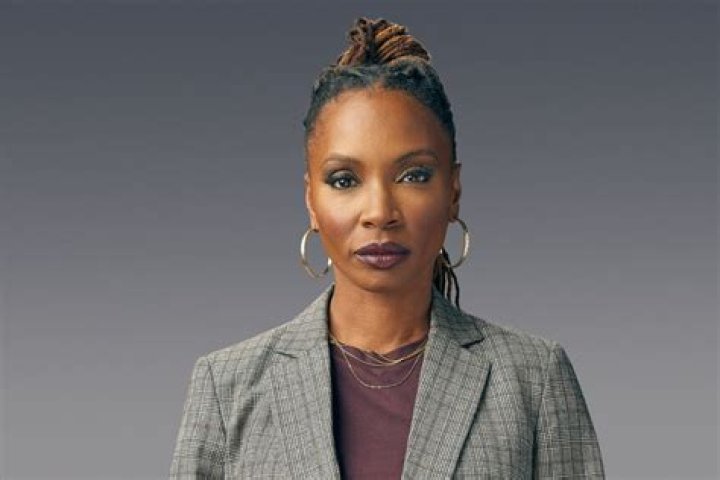 Shanola Hampton: Movies and TV Shows That Shaped Her Career