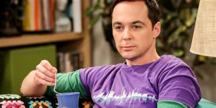 Sheldon Cooper: The Genius Physicist of The Big Bang Theory