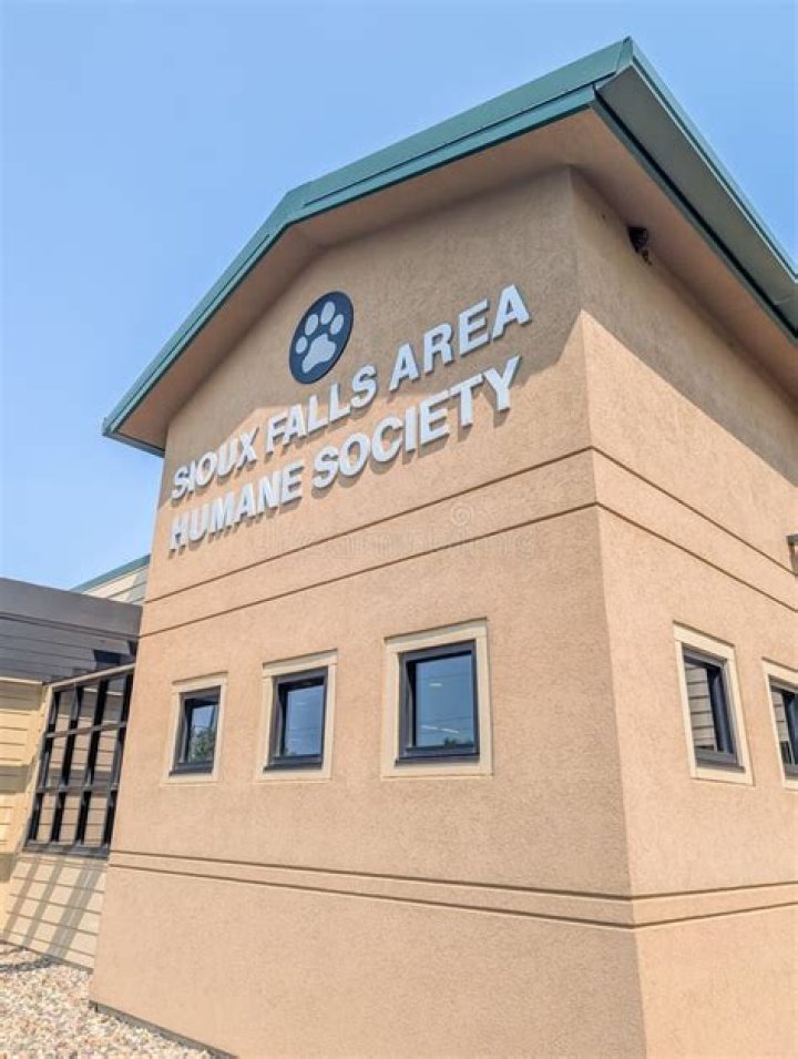 Sioux Falls Humane Society: A Beacon of Hope for Animals in Need