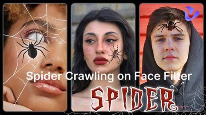 Spider Filter App: Revolutionizing Your Photo Editing Experience