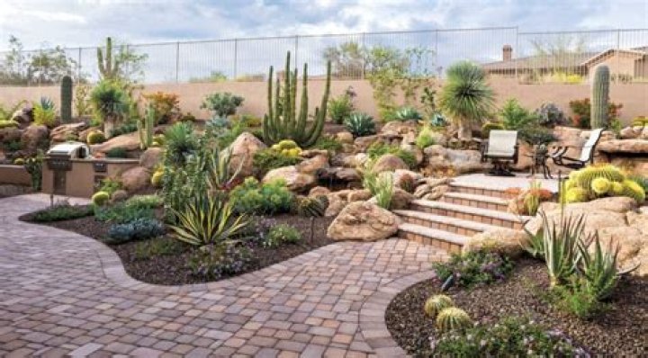 Stunning Xeriscape Ideas for Your Yard!