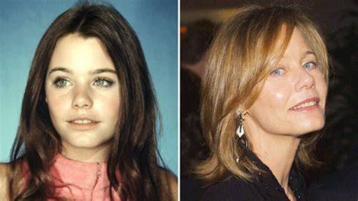 Susan Dey's Journey to Success: An Insight into Her Net Worth