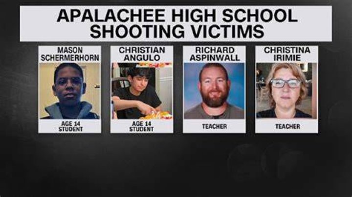 Suspect in Georgia School Shooting: A Comprehensive Analysis