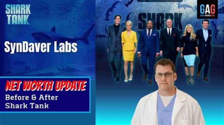 Syndaver Labs Net Worth 2024: A Deep Dive into the Innovative Company