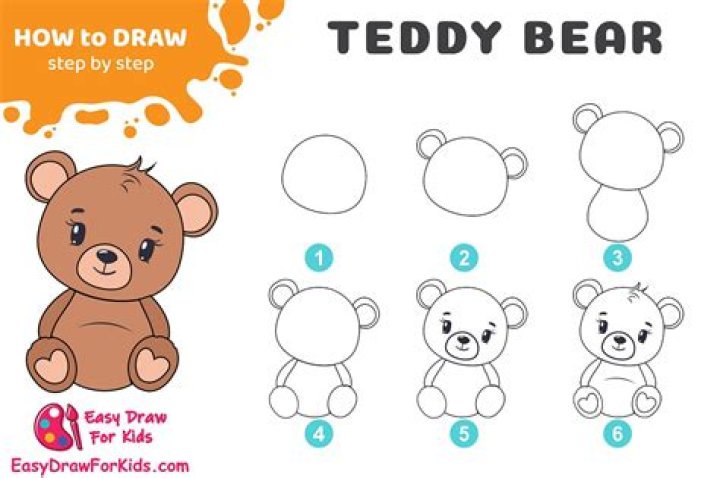 Teddy Bear Drawing: A Step-by-Step Guide for Beginners