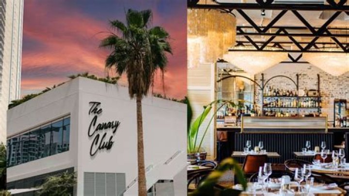 The Canary Club: A Journey into a Unique Community