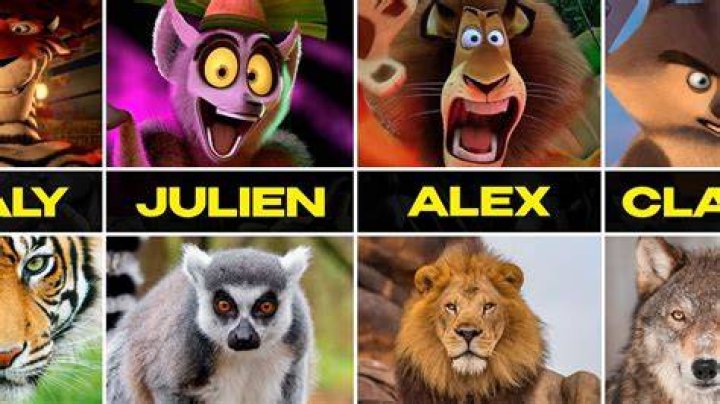 The Captivating World of Madagascar Characters: A Deep Dive into Gloria's Role