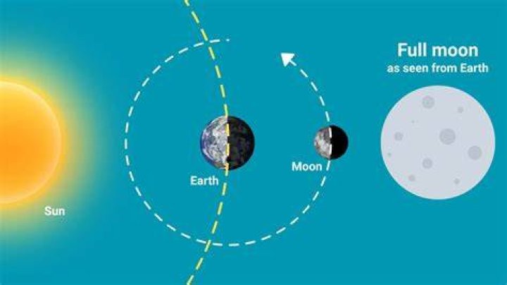 The Enlightening Journey of Molly Moon: A Nun's Perspective