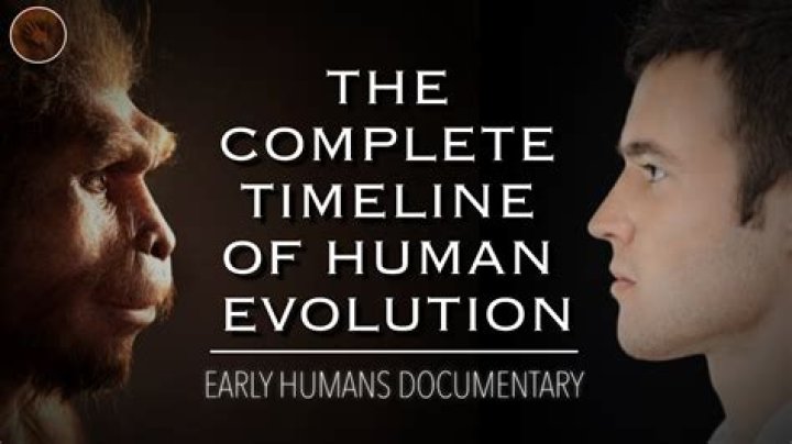 The Evolution of History Memes: A Journey Through Time and Humor