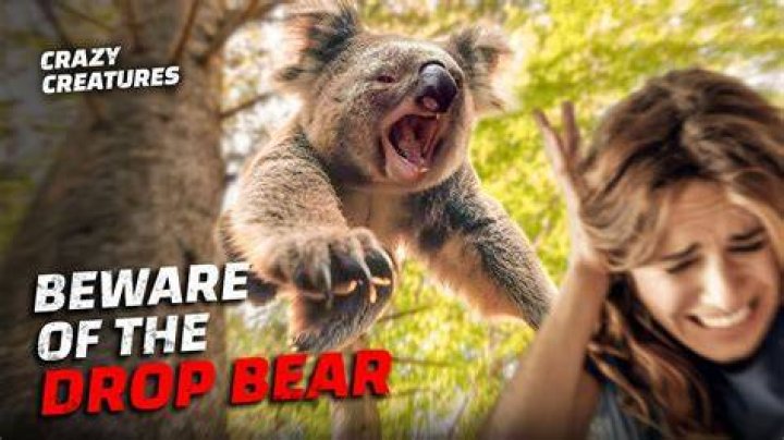 The Fascinating Myth of the Australian Drop Bear: Unraveling the Mystery