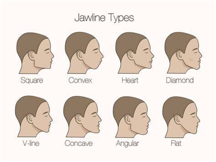 The Fascinating World of Square Jaw: A Comprehensive Guide