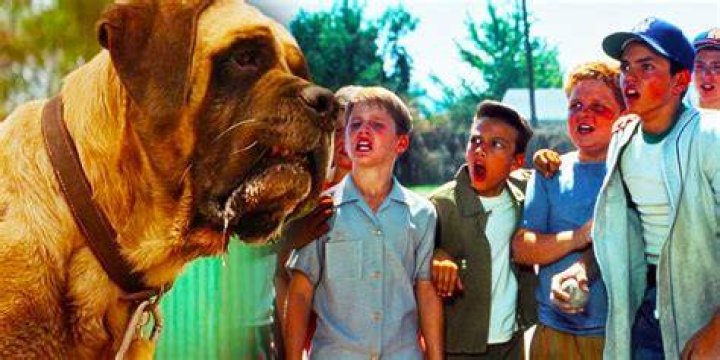 The Iconic Ham Porter: A Sandlot Legend
