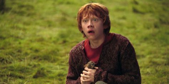 The Indomitable Ronald Weasley: Harry Potter's Loyal Companion