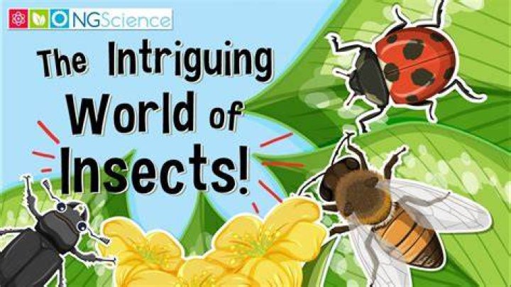The Intriguing World of Ice Spice R34: A Comprehensive Exploration